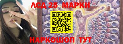 амф Донской