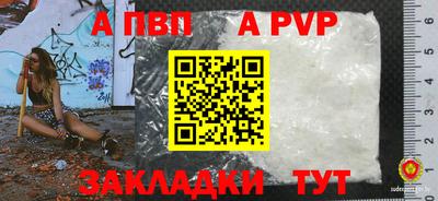 амф Донской