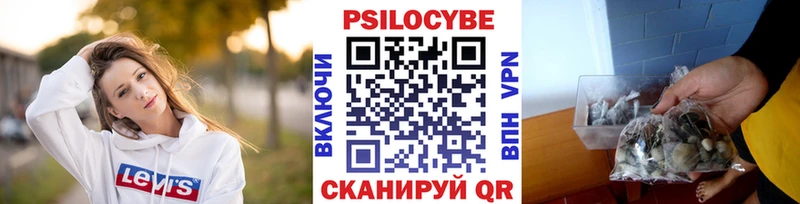 Галлюциногенные грибы Magic Shrooms  даркнет сайт  Чистополь 