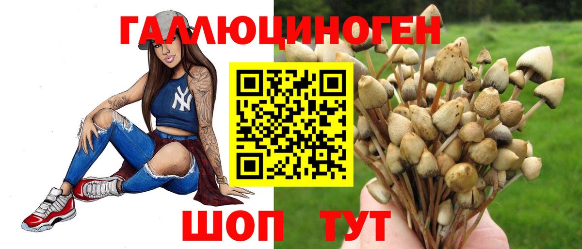 Псилоцибиновые грибы MAGIC MUSHROOMS  Вход с VPN  Чистополь 