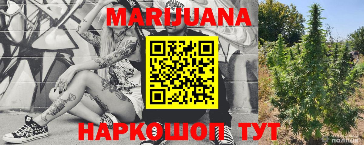 Бошки марихуана ГИДРОПОН  Каннабис гибрид  Чистополь  Бошки марихуана MAZAR  Вход с VPN 
